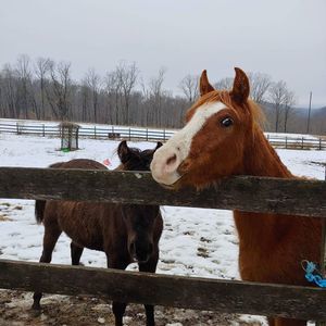 Meet your Posher, Heather